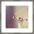 Dry Flowers In Vase Framed Print