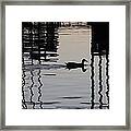 Ducks Coming Into The Dock At Sunset Framed Print
