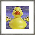 Ducks In A Row 3 Framed Print