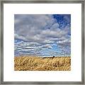 Dune Grass And Sky Framed Print