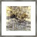 Dune Grass On Yucca Framed Print