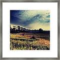 Dusk In The Pasture Framed Print