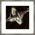 Dust And Rust Framed Print