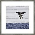 Eagle Dance Framed Print