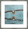 Eagle On Misty Lake Framed Print