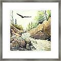 Eagle Over Dave's Falls Framed Print