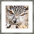 Eagle Owl Framed Print