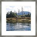 Eagles How Many Do You See Framed Print