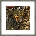 Summer In Decay Framed Print