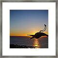 Early Morning Silhouette Framed Print