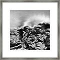 Earthly Vibrations Framed Print