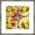 #easter #cupcakes #boom #yummy Framed Print