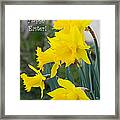 Easter Daffodils Framed Print