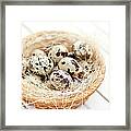 Easter Eggs Framed Print