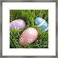 Easter Eggs In The Grass Framed Print