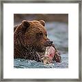 Easy Catch Framed Print