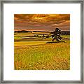 Ebey Prairie 2 Framed Print