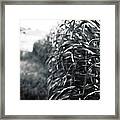 Edge Of The Field Framed Print