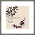 Eggplants Framed Print