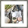 Eggs And Asparagus Framed Print