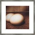 Eggs Framed Print