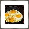 Eggs In Circles Of Onion Framed Print