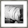 Eggshell Caterpillar Framed Print