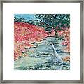 Egret In Late Summer - Sold Framed Print
