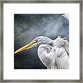 Egret's Moon Framed Print