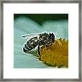 Electric Buzz Framed Print