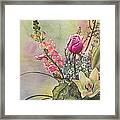 Elegance Framed Print