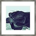 Elegant Black Rose Framed Print