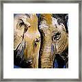 Elephant 2 Framed Print