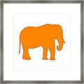 Elephant In Orange And White Framed Print