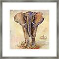 Elephant Framed Print