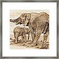 Elephants Framed Print