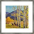Elk Herd In Aspen Grove Framed Print