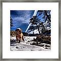 #ellie Conquering Another #snowfield In Framed Print