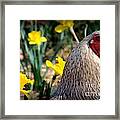 Elliot In The Garden Framed Print