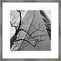 Embraced By A Tree Framed Print