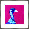 Emu Pink Framed Print
