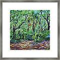 Enchanted Clearing Framed Print