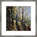 Enchanted Forest Framed Print