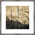 End Of The Day Framed Print