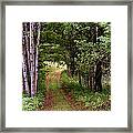 End Of The Road Framed Print
