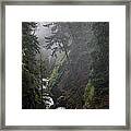 Englishman River Mist Framed Print