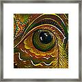 Enigma Spirit Eye Framed Print