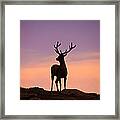 Enjoying The View Framed Print