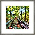 Forest Bridge In Autumn Framed Print