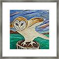 Equinox Owl Framed Print
